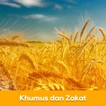 Khumus dan Zakat